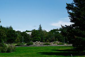 Green park landscape in Reykjavik, Iceland with trees, rocks, and blue sky, a Photo by AS photostudio