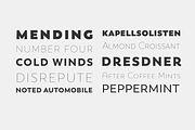 Trenda, a Sans Serif Font by Latinotype (Thumbnail 4 of 15)
