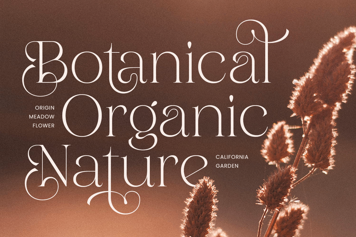 Madalino - Modern Beauty Luxury Font, a Serif Font by Sensatype (Photo 5 of 12)
