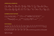 CS Lydia Disco, a Script Font by Craft Supply Co. (Thumbnail 8 of 8)