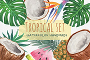 Tropical Clipart - Hand painted, a Decorative Illustration by MaraquelaStudio (Thumbnail 1 of 8)