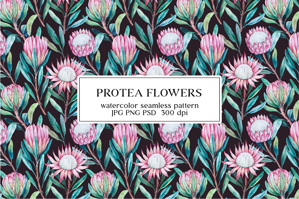 Protea flowers watercolor pattern, a Pattern Graphic by Robusta (Photo 1 of 5)
