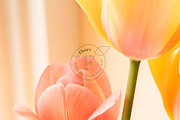 Les Fleurs | Full Identity Pack, a Branding & Logo Template by The Responsible Creatives (Thumbnail 14 of 17)