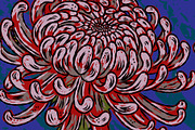 Vintage Chrysanthemum Maximalist, a Pattern Graphic by NayaChu (Thumbnail 6 of 9)
