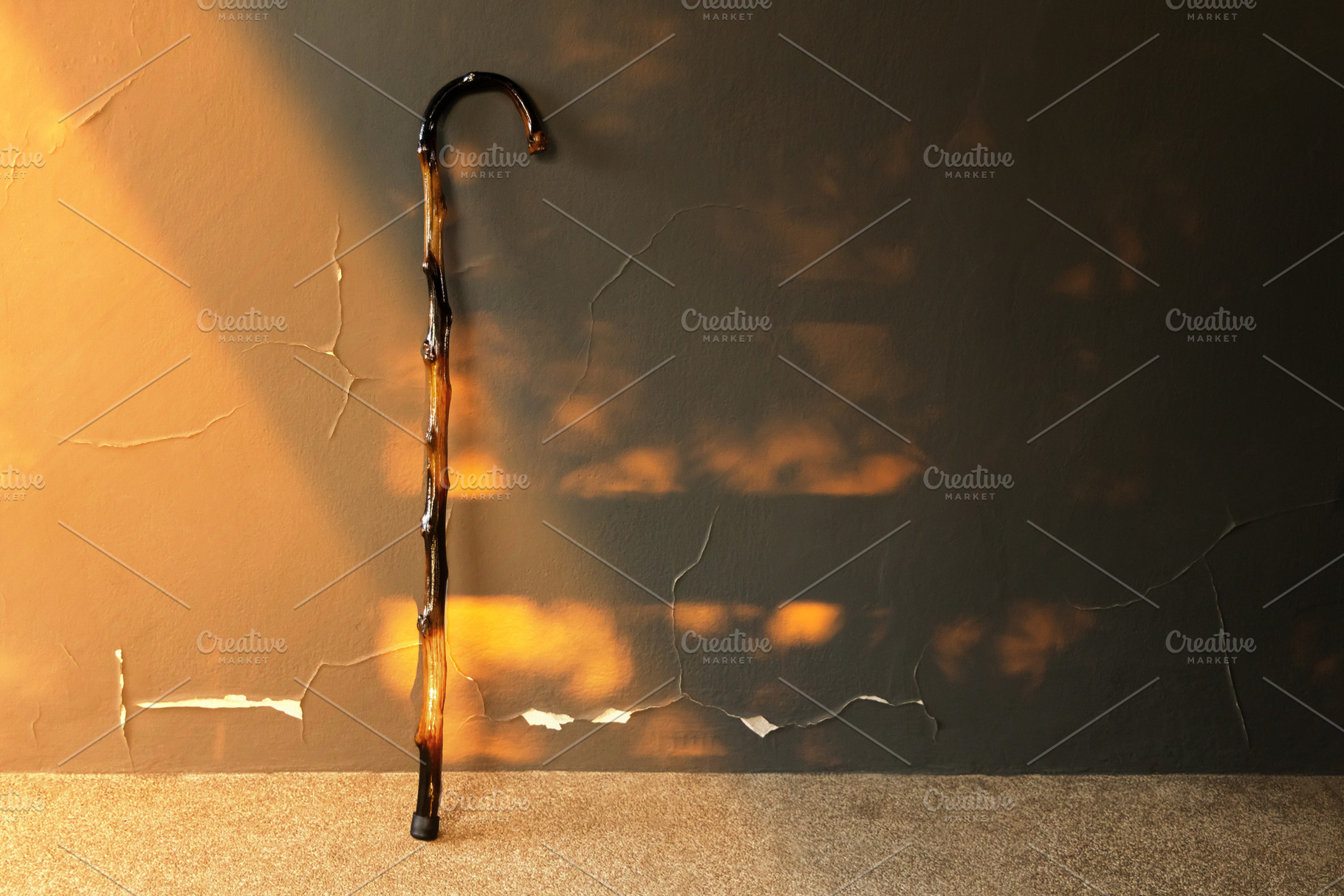Old walking cane standing alone , aging society, loneliness, eld, a Photo by salmon.black