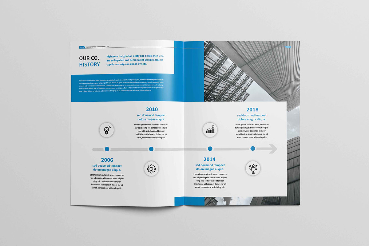 Annual Report Brochure, a Brochure Template by New Lines (Photo 4 of 13)