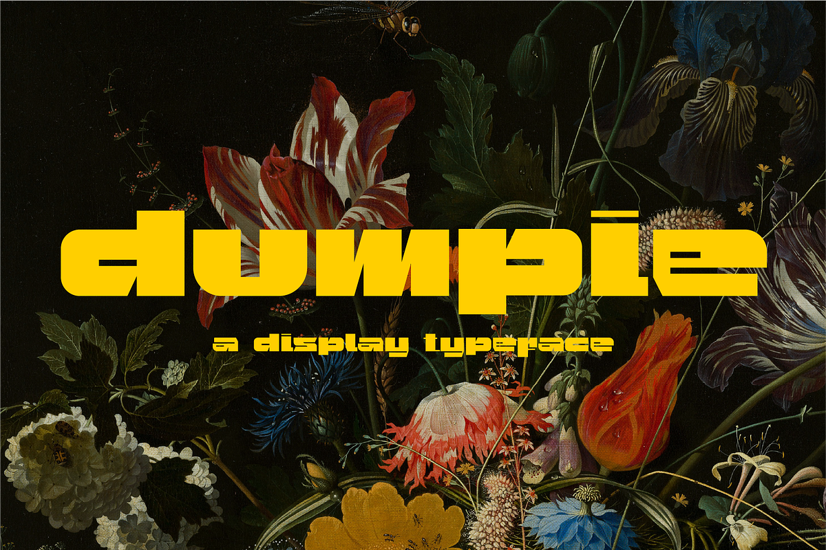 Dumpie Typeface, a Font by evemiriam (Photo 1 of 6)