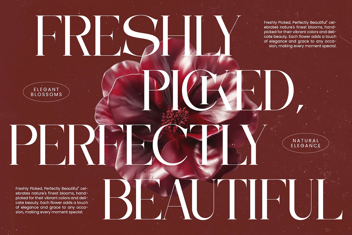 Moonlit Charm Modern Display Serif, a Serif Font by timelesstype.co (Photo 11 of 20)