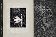 Thin Relic - Lace Texture Overlays, a Texture Graphic by alonahaidash (Thumbnail 11 of 19)