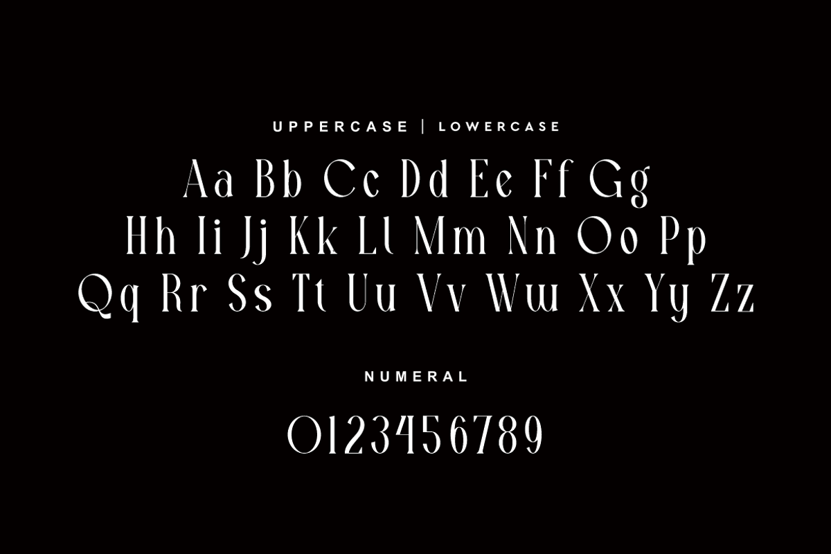Gesmofa - Modern Cinematic Font, a Serif Font by QR Design Studio (Photo 8 of 15)