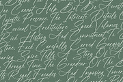 Political Otthestic Modern Script, a Script Font by stylishtype.co (Thumbnail 14 of 20)