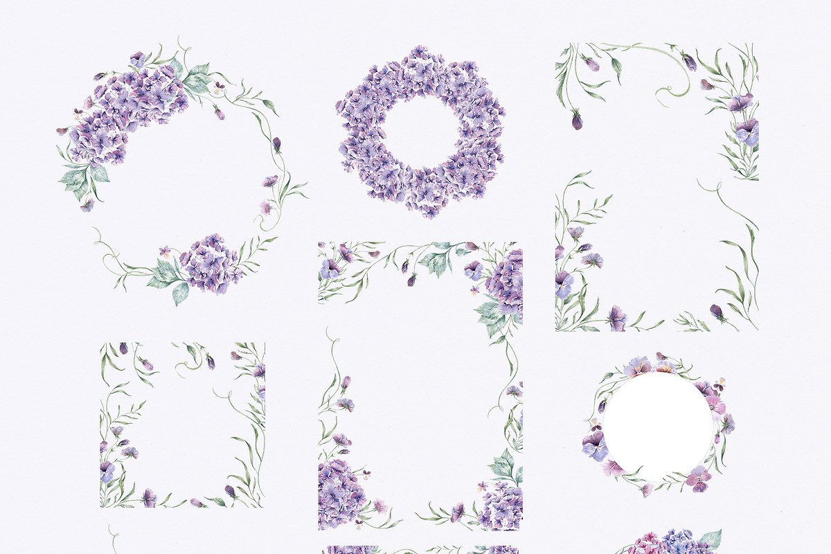 Charming purple pansies, hydrangea, an Illustration by astelenadesign (Photo 9 of 12)