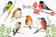 70% off. Bundle. Woodland animals., an Animal Illustration by TaPilipa (Thumbnail 14 of 38)