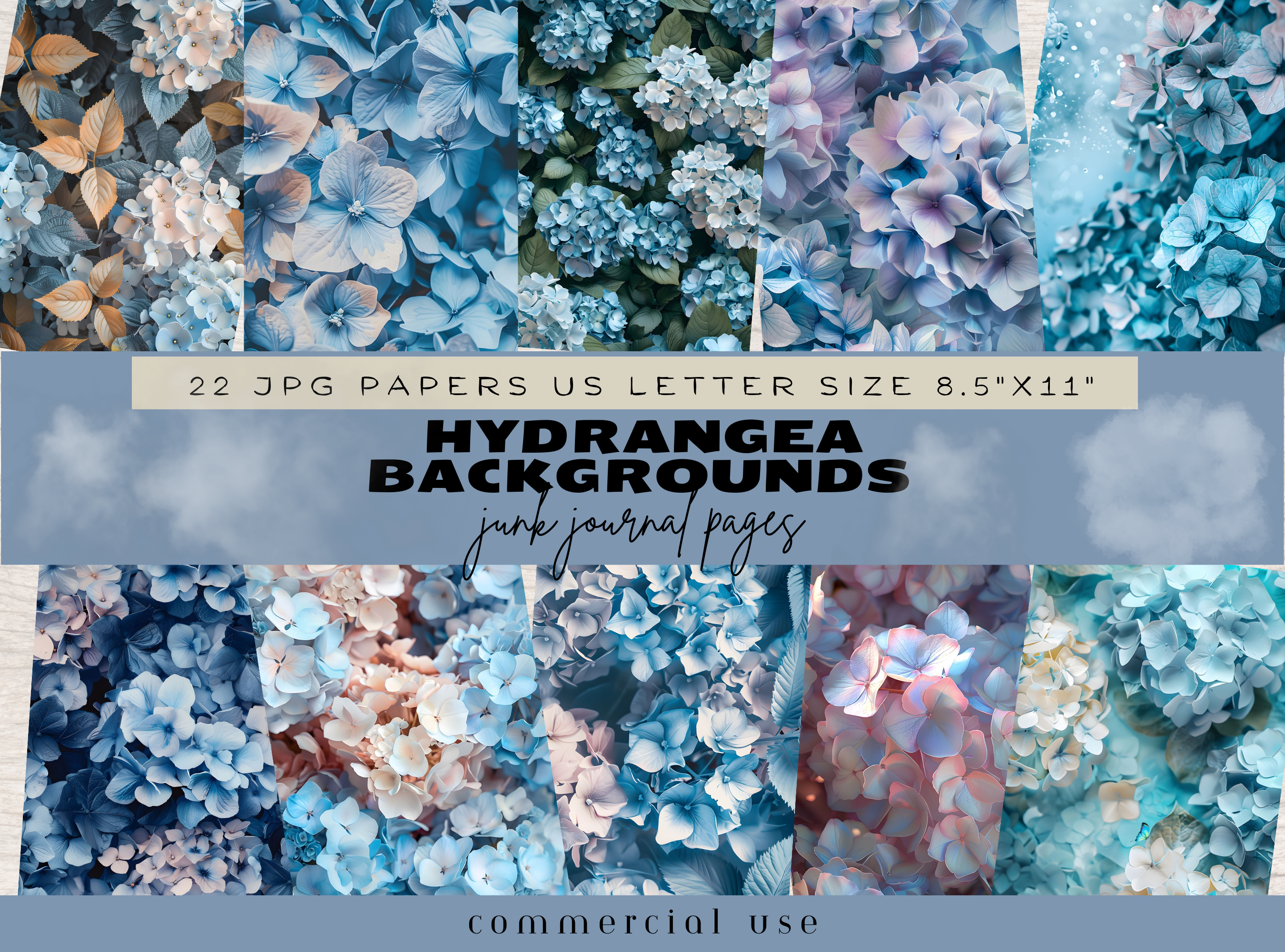 HYDRANGEA BACKGROUND PAPER, a Decorative Illustration by Daring Digies
