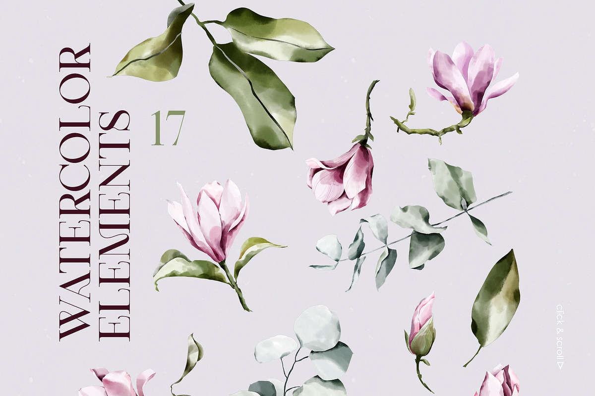 Magnolia & Eucalyptus. Watercolor, an Object Illustration by Colden Blue (Photo 12 of 15)