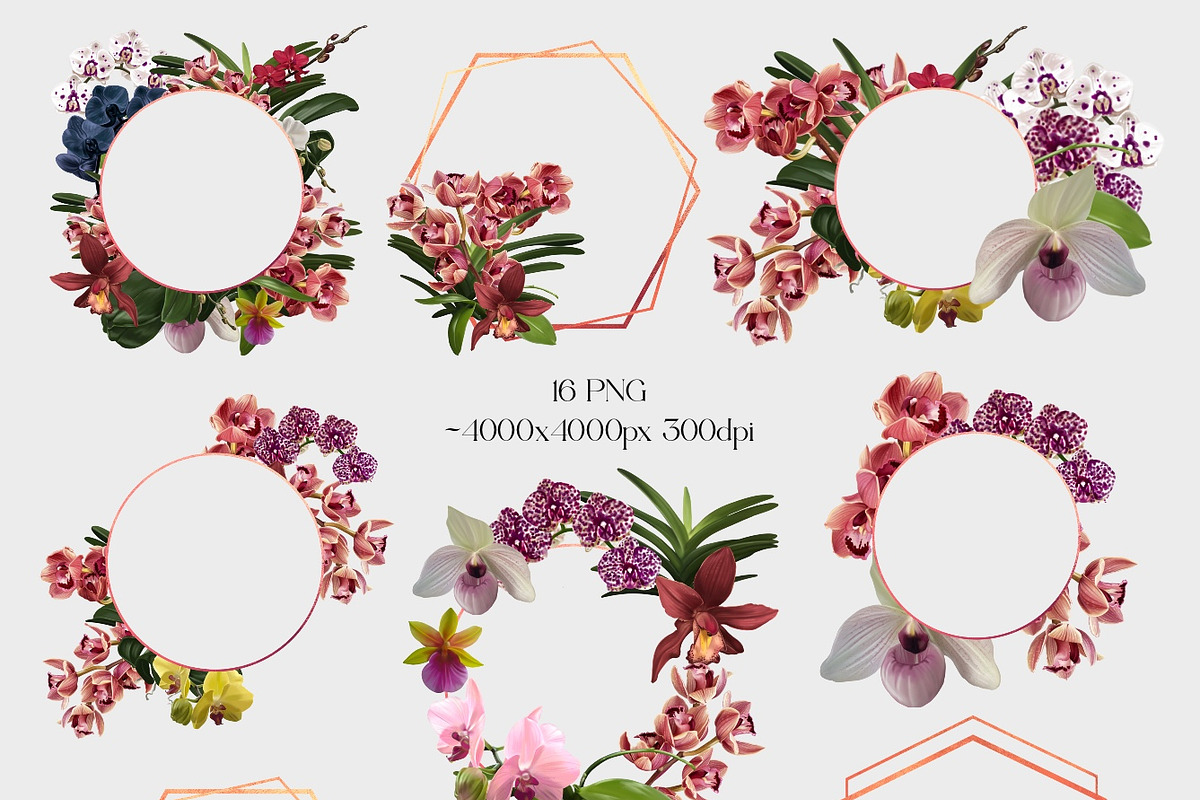 Realistic orchid oil - Bundle flower, a Decorative Illustration by NNclipart (Photo 4 of 4)