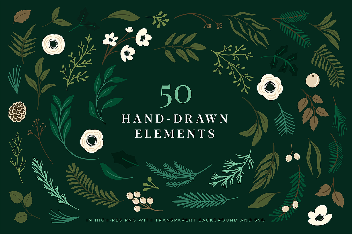 Christmas Botanical Illustrations, an Illustration by Rough Edges Supply Co. (Photo 2 of 9)