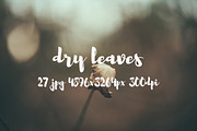 Dry leaves, a Templates & Theme by ApertureVintage (Thumbnail 4 of 16)