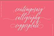 Barracuda Script, a Script Font by joelmaker (Thumbnail 7 of 12)
