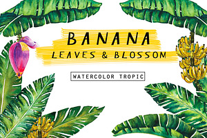 Banana Leaves Watercolor