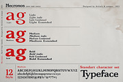 Necronos - Serif font family, a Serif Font by Artistic & Unique (Thumbnail 3 of 15)