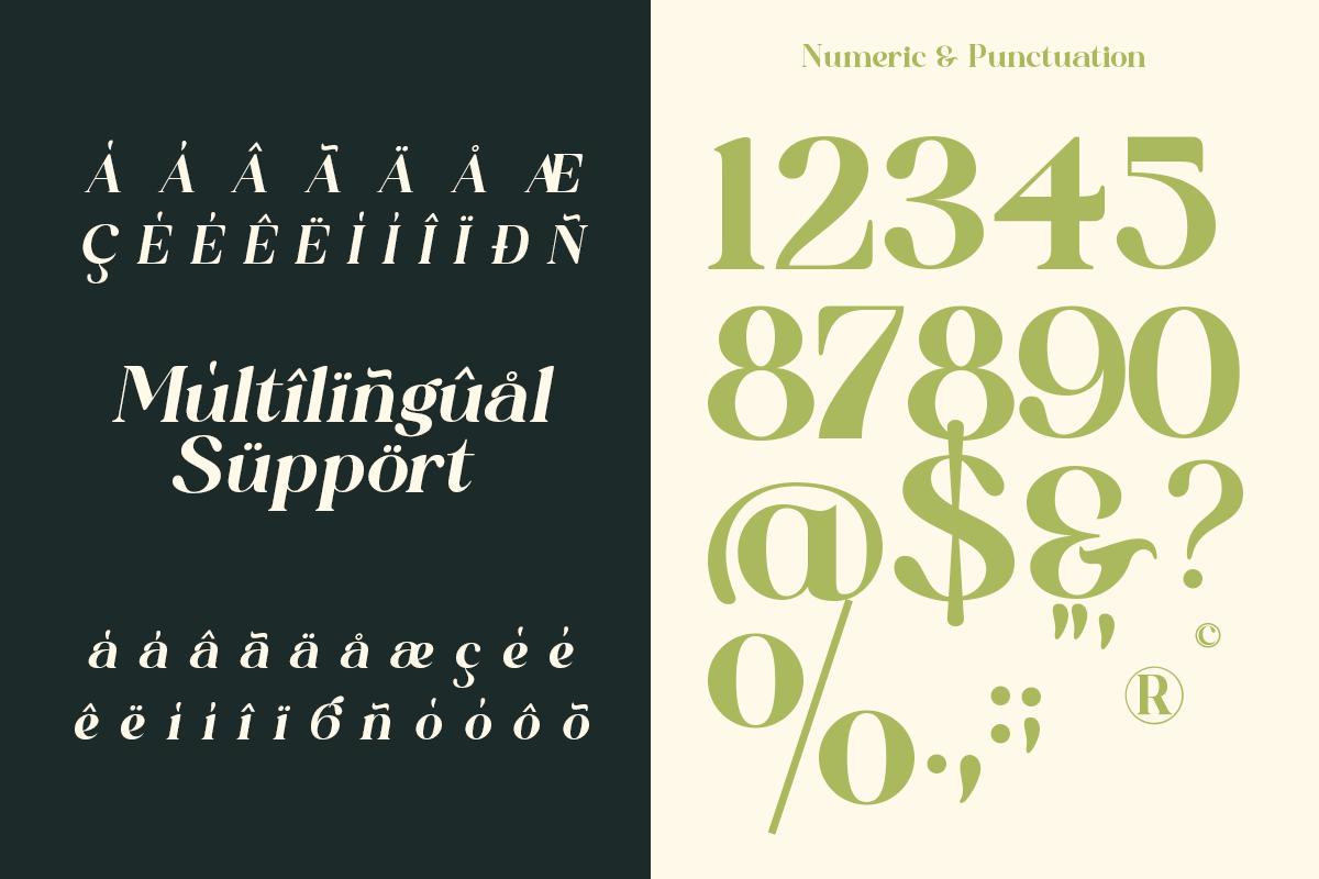 Qoncila - Modern Retro Swash Serif, a Serif Font by Qweera Studio (Photo 10 of 12)