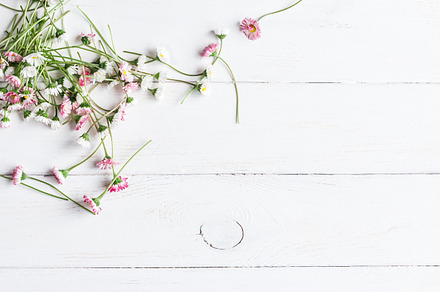 Daisy flowers containing flat lay, frame, and flowers, an Arts & Entertainment Photo by Flaffy