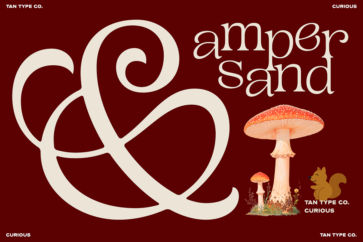TAN - CURIOUS, a Serif Font by TanType (Photo 9 of 11)