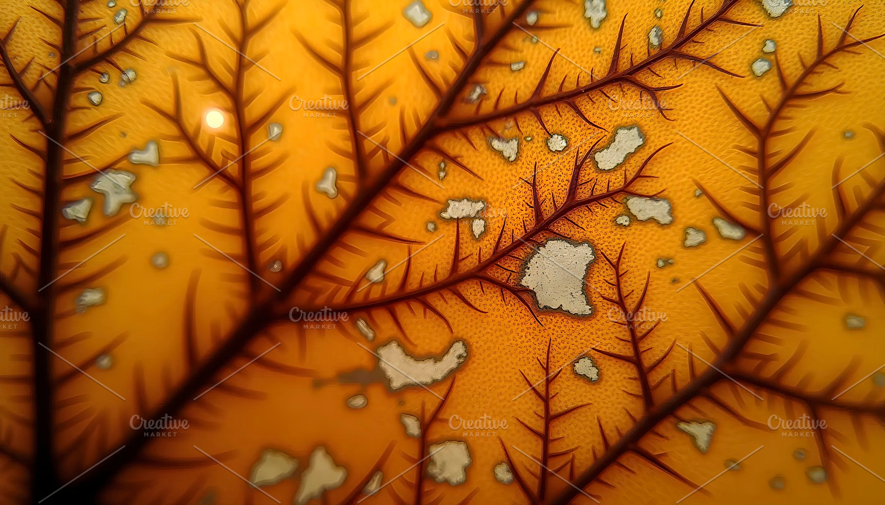 Macro Surface of Natural Dried Leaf, a Photo by LOGOCREATIVE