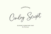 Cindoy Script, a Script Font by Realtype (Thumbnail 1 of 7)