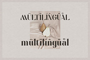 Solitten | Elegant Typeface, a Serif Font by Almeera Std (Thumbnail 7 of 10)