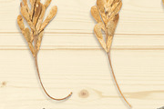 Autumn Floral Mockup Objects, an Object Graphic by uncle-rico (Thumbnail 7 of 13)