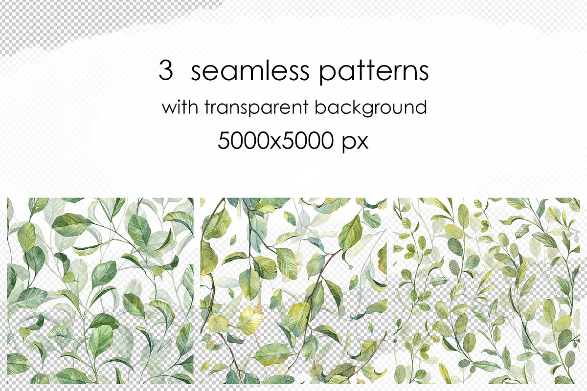 Botany watercolor PNG set, an Object Graphic by Dashamoony (Photo 4 of 4)