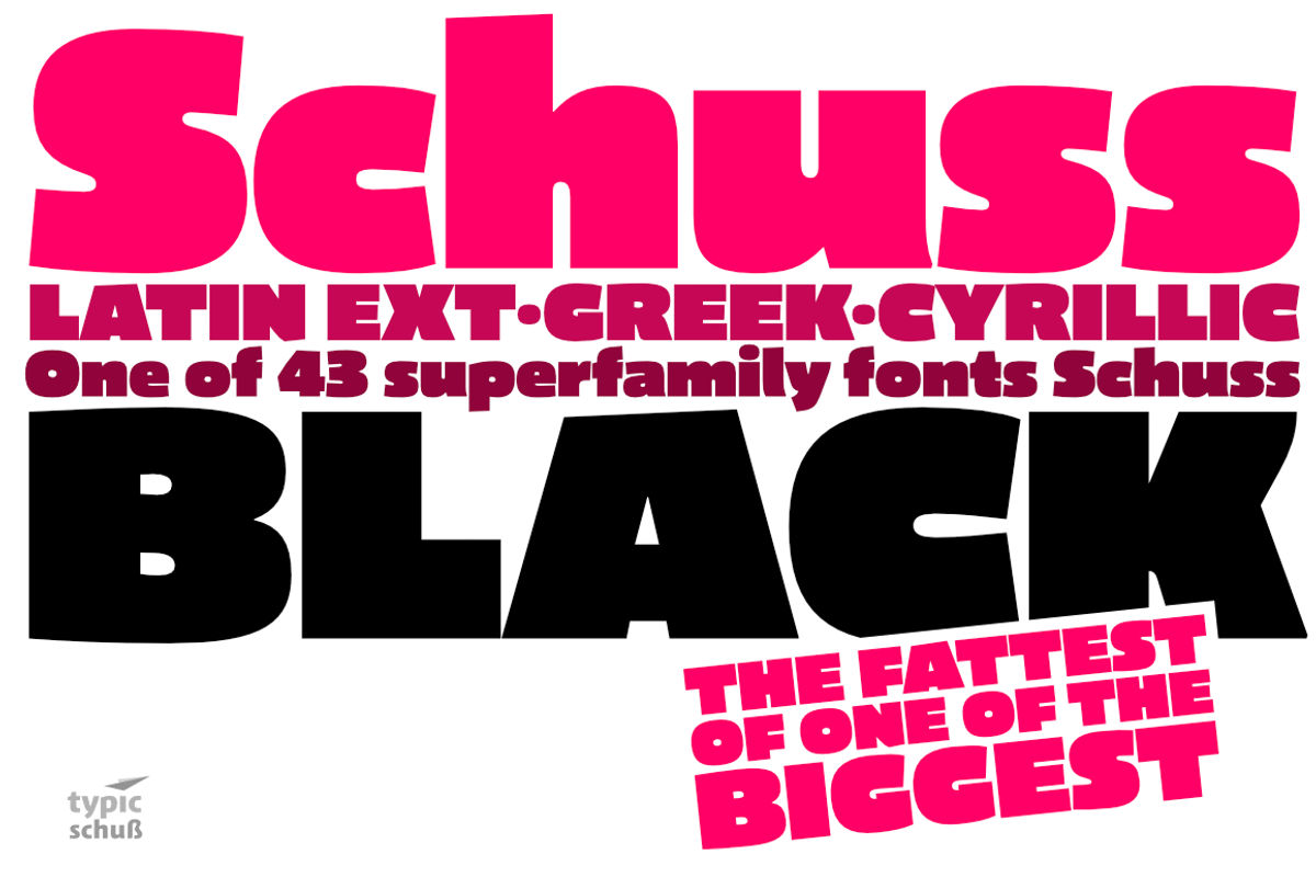 Schuss Sans CG Poster Black preview 2