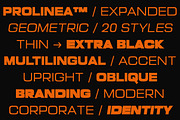 Prolinea Family | Intro 75% OFF, a Sans Serif Font by Lettertype Studio (Thumbnail 11 of 15)