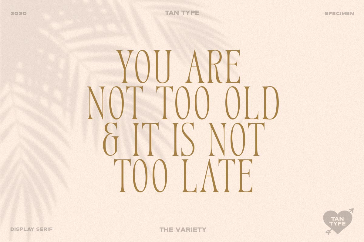 TAN - Variety, a Serif Font by TanType (Photo 17 of 26)
