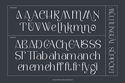 Camosta  Display Serif Font, a Font by Flawless And Co (Thumbnail 10 of 10)