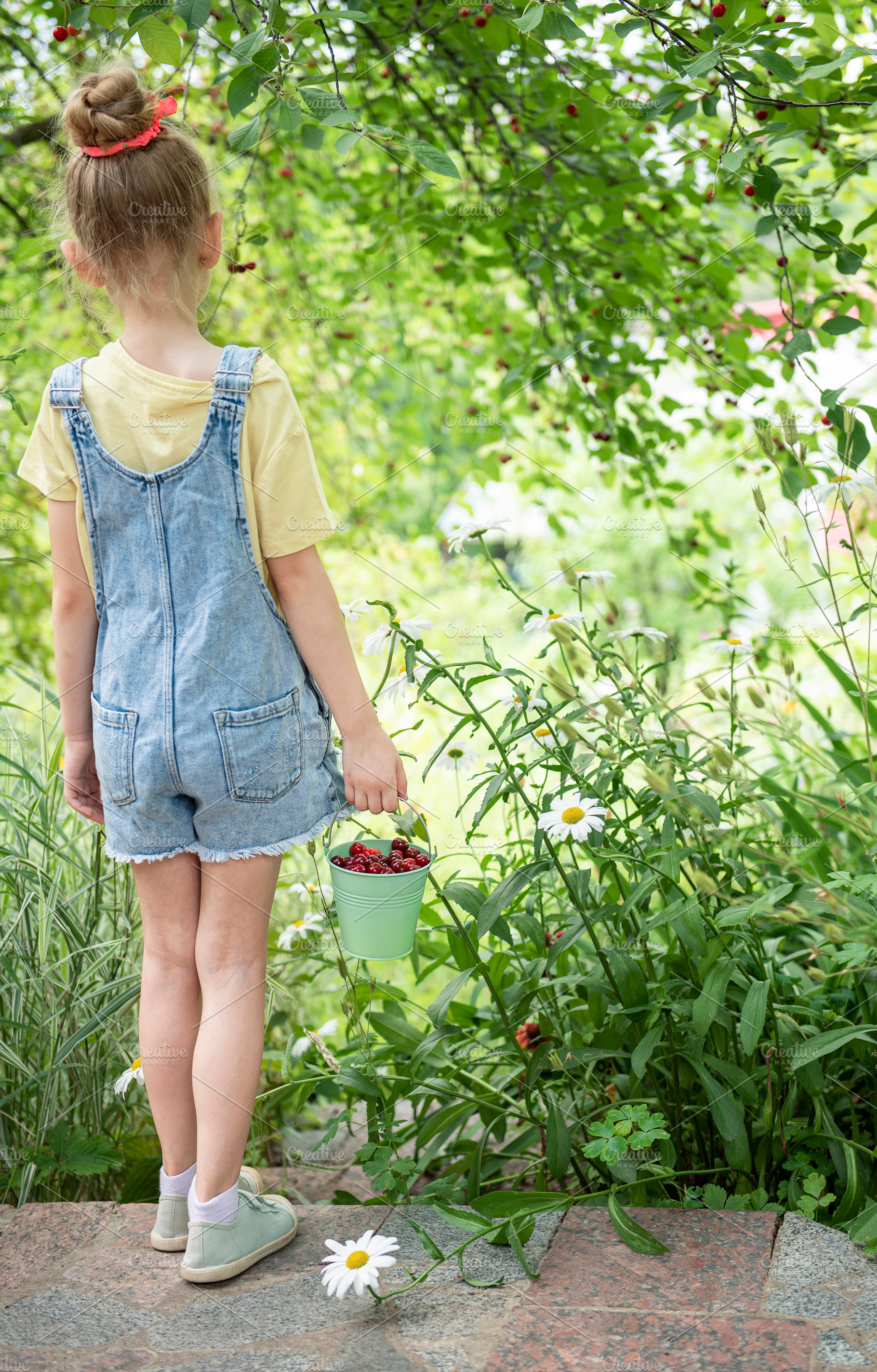 Little girl is picking cherries in the garden., a Food & Drink Photo by Olena Rudo