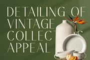 Mugia Elegant Modern Display Font, a Sans Serif Font by timelesstype.co (Thumbnail 3 of 20)