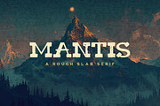 Mantis Typeface, a Slab Serif Font by Tugcu Design Co. (Thumbnail 1 of 4)