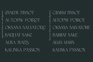 Wilde Rosa//Contemporary & Chic Font