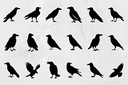 Raven Silhouette SVG, an Animal Illustration by newminddesign (Thumbnail 1 of 3)