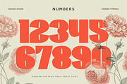 Wirklich - Vintage Sans Serif Typefa, a Sans Serif Font by Masyafi Studio (Thumbnail 7 of 8)
