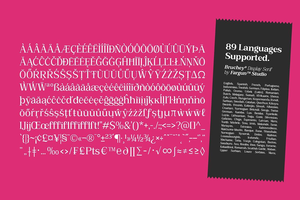 Bruchey Serif, a Serif Font by Fargun Studio (Photo 12 of 15)