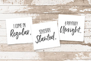 NEW!Ernest & Emily Font Duo, a Script Font by Nicky Laatz (Thumbnail 14 of 17)