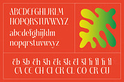 Fading Husker Modern Serif Font, a Serif Font by timelesstype.co (Thumbnail 18 of 20)
