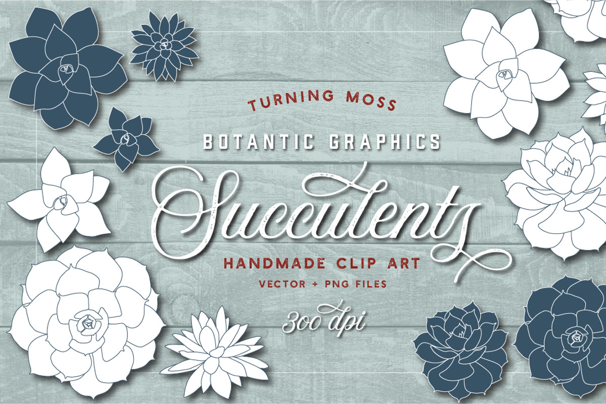 Succulent Clip Art - Botanic Vectors, an Illustration by Turning Moss (Photo 1 of 5)