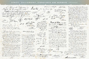 Le Billet Doux - French Collection, an Object Illustration by Anja Kaiser (Thumbnail 13 of 19)