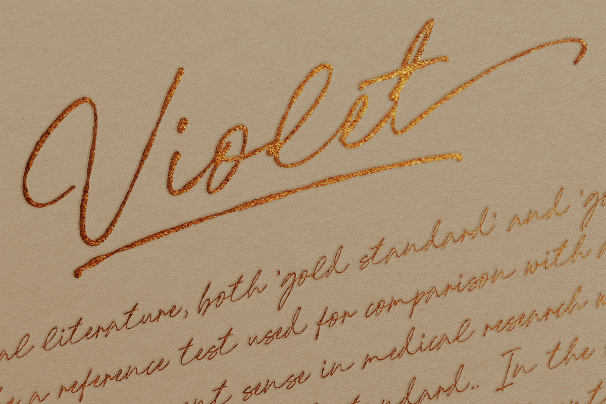 Nice Memory - Nostalgic Script, a Script Font by Sarid Ezra (Photo 9 of 13)