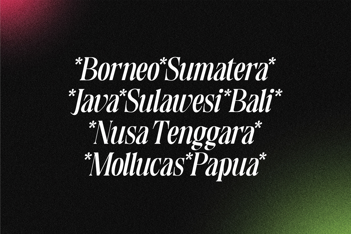 Plantround, a Serif Font by Pustudio (Photo 5 of 9)